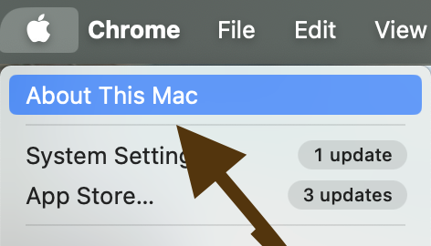 Screenshot 2024 03 03 at 1.23.28 PM